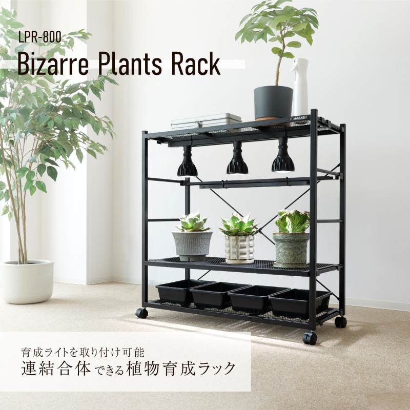 BIBILAB ビザールプランツラック LPR-800-BK アガベ