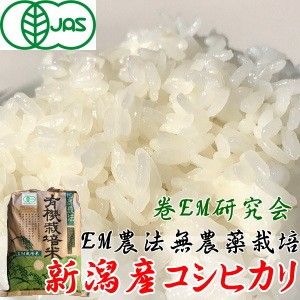 JAS有機 EM栽培 新潟産コシヒカリ