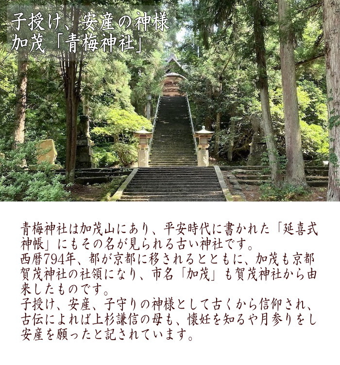 幸運の箸 フォーチュン 夫婦箸 ヒスイ