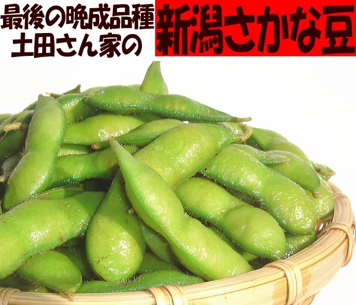 新潟 さかな豆 枝豆 期間限定