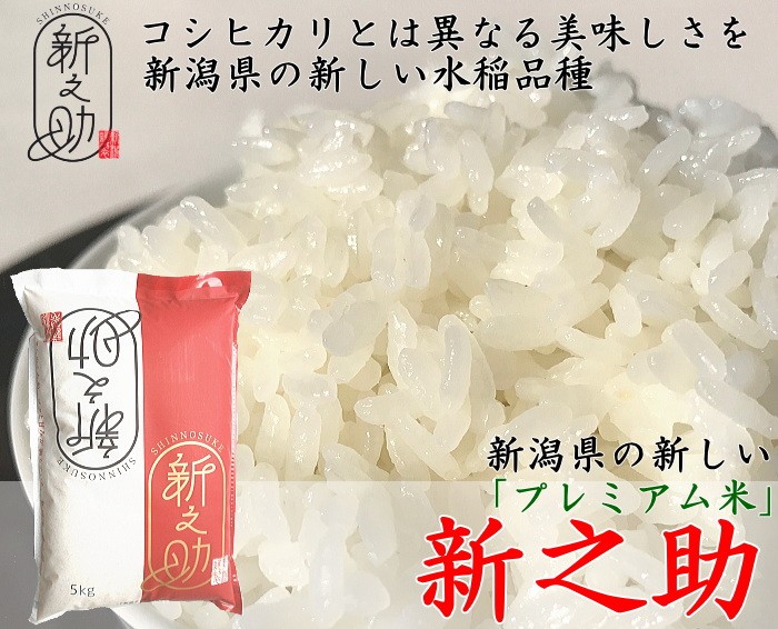 新潟産 新之助