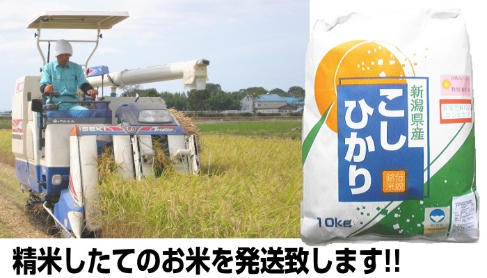 有機肥料100%使用 新潟県認証特別栽培米 新潟産コシヒカリ
