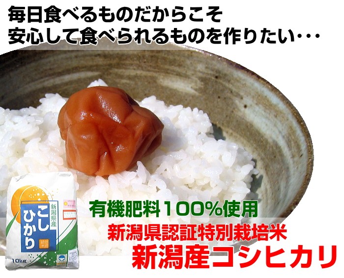 有機肥料100%使用 新潟県認証特別栽培米 新潟産コシヒカリ