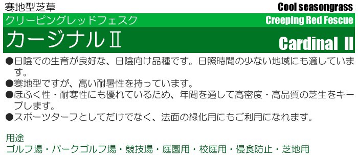 種子 クリーピングレッドフェスク カージナルII 5kg : 5009002