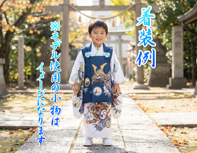 七五三 三歳 男児 被布着物フルセット 刺繍小紋柄 祝着 NO37919 京美 七五三 男の子 3歳 被布着物セット 京都花ひめ 白地 絵羽柄 被布