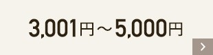 3001〜5000円