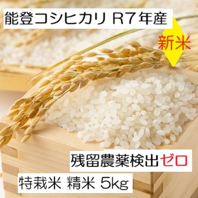 コシヒカリ 新米 無洗米 能登コシヒカリ 令和7年産 ：残留農薬検出