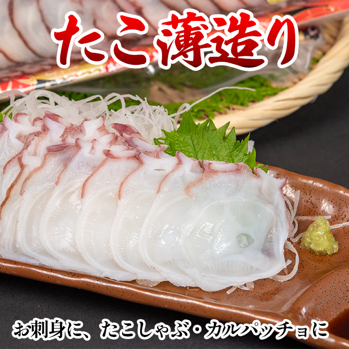 たこ商品説明"