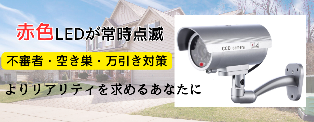 ダミーカメラ(2)