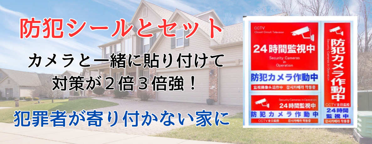 ダミーカメラ(3)