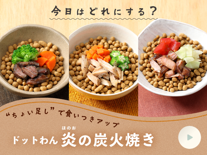 ドットわんネットショップ - Yahoo!ショッピング