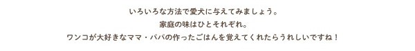 ドットわんごはん4種セット