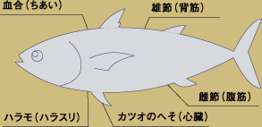カツオの部位 説明画像