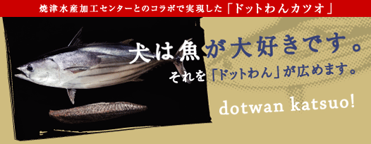 焼津水産加工センターとのコラボで実現した「ドットわんカツオ」 犬は魚が大好きです。それを「ドットわん」が広めます。dotwan katsuo!