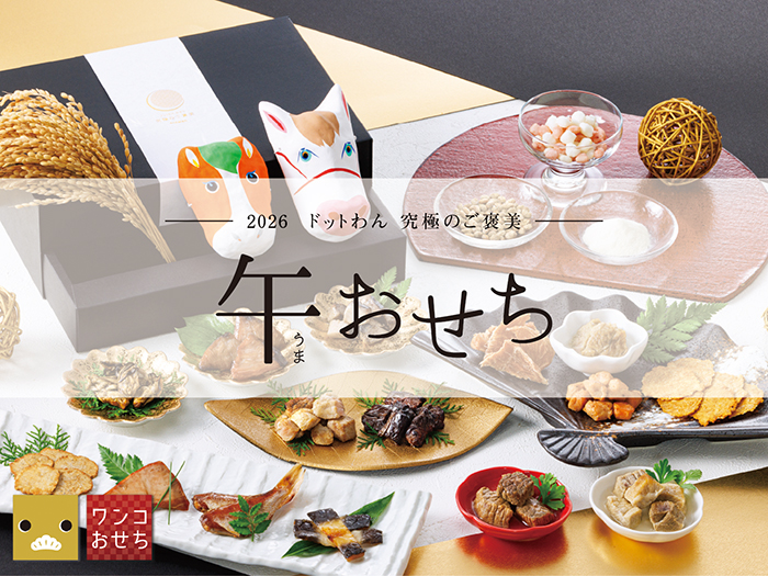 きゃっちゃん　ドットわんごはん 魚、豚、牛、鶏 4種セット ドットわんごはん4種セット|国産天然食材のおまかせセット