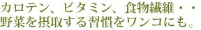 カロテン、ビタミン、食物繊維・・野菜を摂取する習慣をワンコにも。