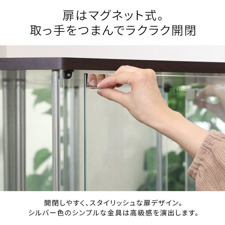 コレクションケース
