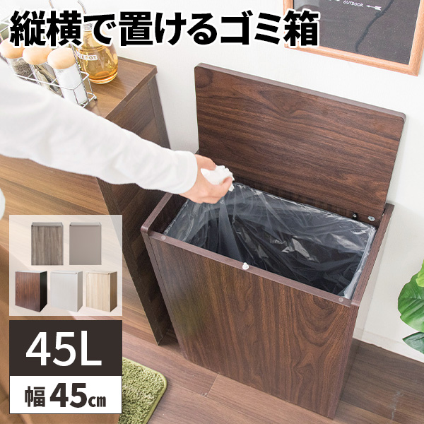 ゴミ箱 45リットル スリム おしゃれ 北欧 45l 袋 見えない