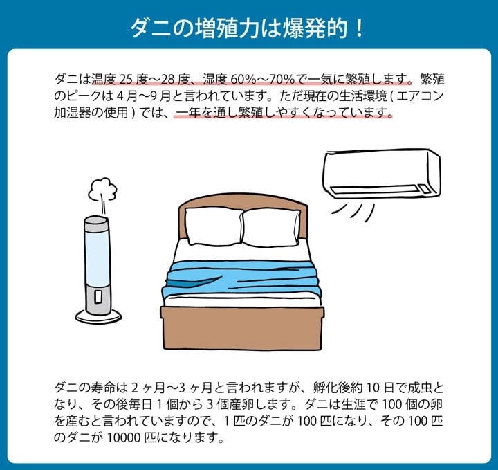 敷き布団 防ダニ ベッド用 95×195cm 日本製｜double｜05