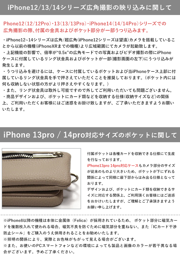 エジュー ajew ajew dress NYLON case shoulder ドレスナイロンケース