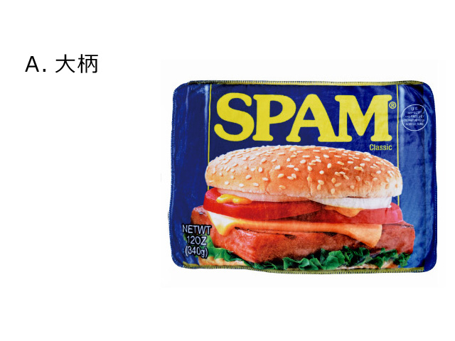 ブランケット ひざ掛け ボアブランケット 70cm×100cm スパム 裏ボア アメリカン かわいい オシャレ 暖かい オフィス アウトドア インスタ映え ダブルスリー | ブランド登録なし | 01