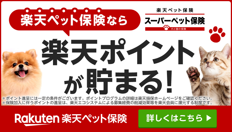 格安激安『ラキサトーン 70.9g ×２個』猫用動物用栄養補助食品