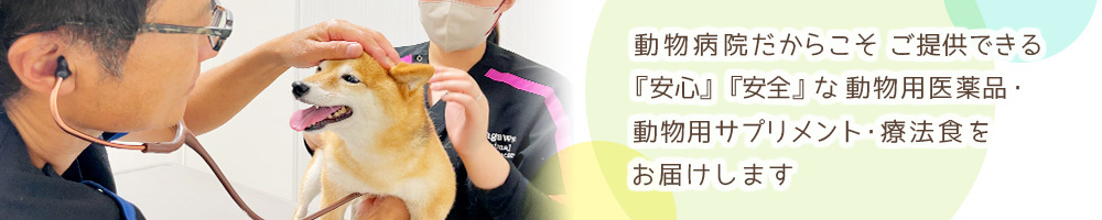 伴侶動物のための救急医療 犬・猫からエキゾチックアニマルまで ◇◇伴侶動物のための救急医療◇◇キゾチックアニマル犬・