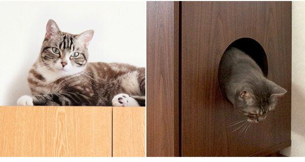 猫トイレ 隠す キャビネット 猫 トイレ フルカバー 大型 収納 飛び散り