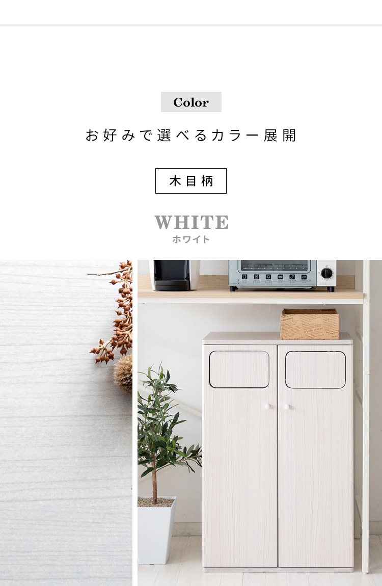 ゴミ箱 ダストボックス 45L 45リットル 分別 2分別 スリム ふた付き