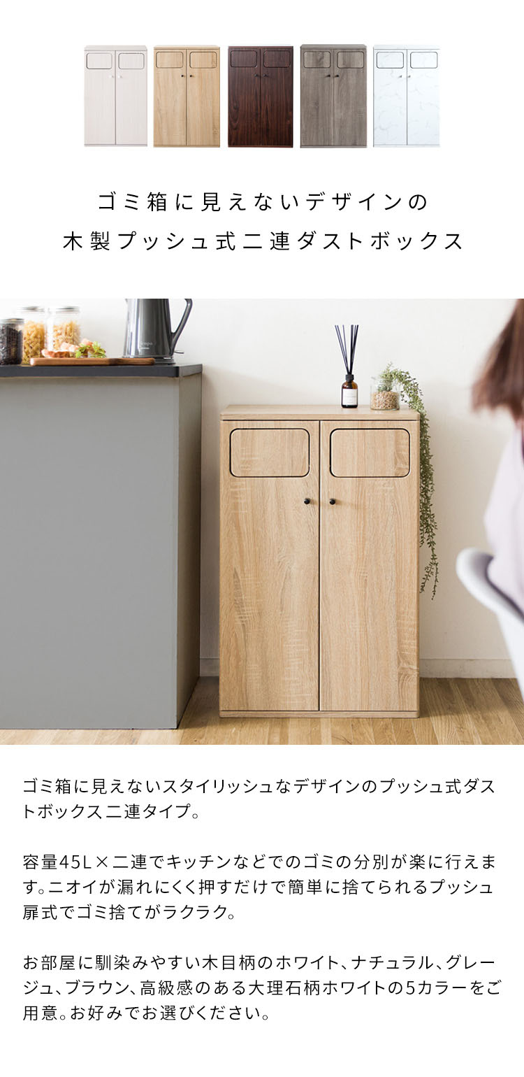 ゴミ箱 ダストボックス 45L 45リットル 分別 2分別 スリム ふた付き