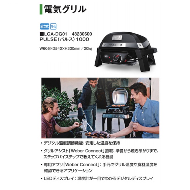 【ポイント10倍】【直送品】 タカショー PULSE(パルス)1000 LCA-DG01 (48230600) 【大型】_1