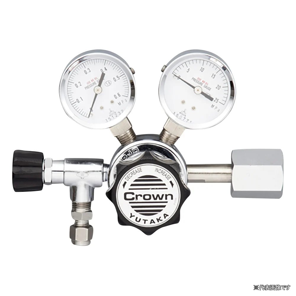 �y�|�C���g10�{�z�A�Y���� ���͒�����(GF�V���[�Y) GF1-2506-RS2-VN (1-9309-12) �s�v���E����E�����t