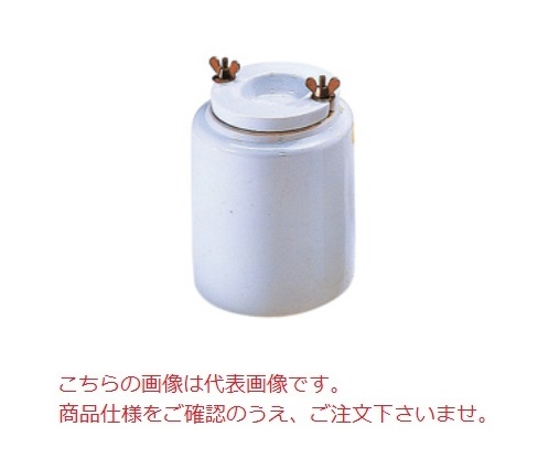 ADVANTEC (アドバンテック) ガラス濾紙GA-55 142mm 36261142 (100枚)