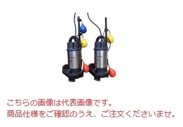 ポイント10倍】【直送品】 エレポン 水中ポンプ REP-22BD-60Hz (REP