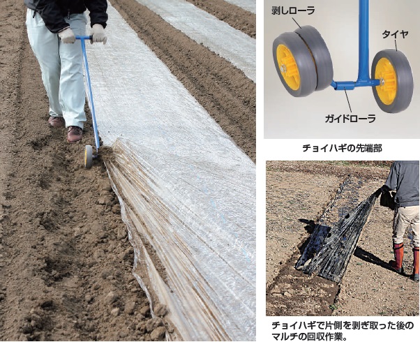 ポイント10倍】【直送品】 ハラックス チョイハギ マルチ剥ぎ