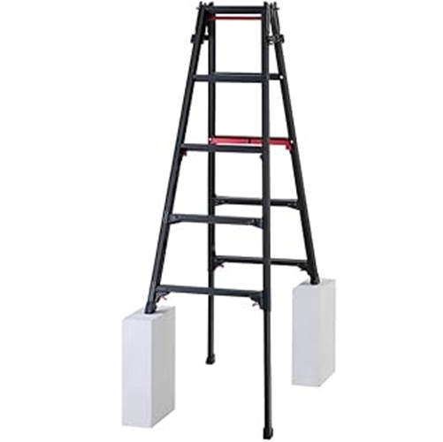 �y�|�C���g10�{�z�y�����i�z ���J��H�� �n�Z�K�� �͂������p�L�k�r�� �V���K�}�� RYRLB-15 (10770) �y��^�z