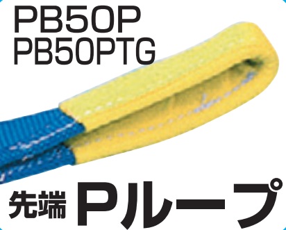 X[Gb` H.H.H xgג@(`FbgEPV[Y) PB50PTG