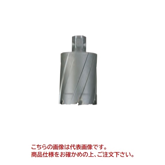 【ポイント10倍】【直送品】 育良精機 50SQクリンキーカッター CRSQ410 (51113) 【法人向け・個人宅配送不可】