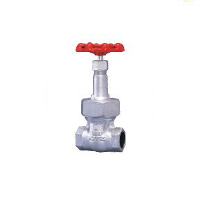 �y�|�C���g5�{�z�L�b�c (KITZ) �_�N�^�C���S���Q�[�g�o���u 16K (F)16SMS 32A (1 1/4B) �s���h�ݔ��p�t