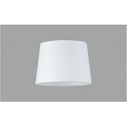 �y�|�C���g10�{�z�y�����i�z �R�C�Y�~�Ɩ� �Z�[�h AE54475E �y�����ʁz