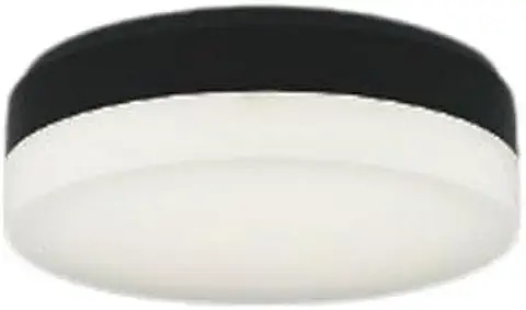 �y�|�C���g5�{�z�y�����i�z �R�C�Y�~�Ɩ� �V�[�����O AH56002 �y�����ʁz