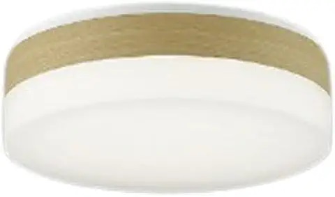 �y�|�C���g10�{�z�y�����i�z �R�C�Y�~�Ɩ� �V�[�����O AH56004 �y�����ʁz