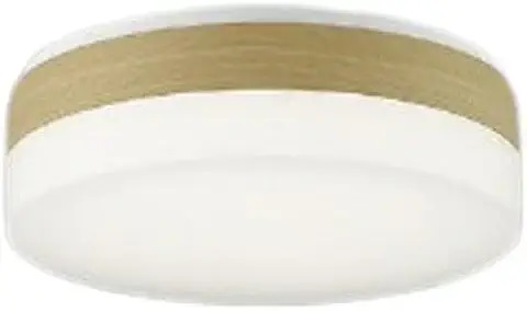 �y�����i�z �R�C�Y�~�Ɩ� �V�[�����O AH56005 �y�����ʁz