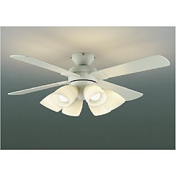 �y�|�C���g5�{�z�y�����i�z �R�C�Y�~�Ɩ� �C���e���A�t�@�� AM41906L �y�����ʁz