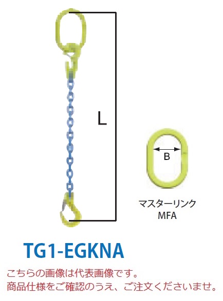 【直送品】 マーテック チェーンスリング 1本吊りセット TG1-EGKNA 13mm 全長1.5m (TG1-EGKNA-13-15)