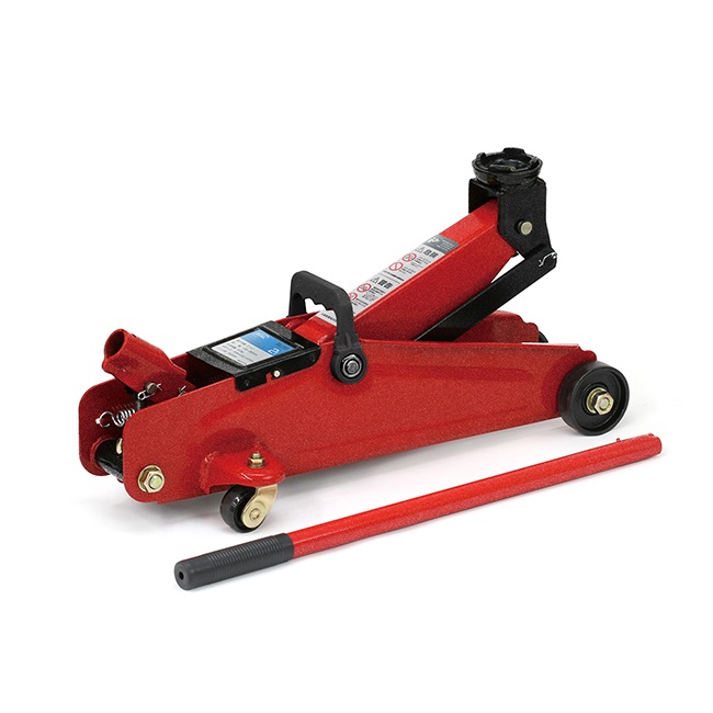 �y�|�C���g10�{�zBAL �勴�Y�� �������t���A�W���b�L 2�� 2101