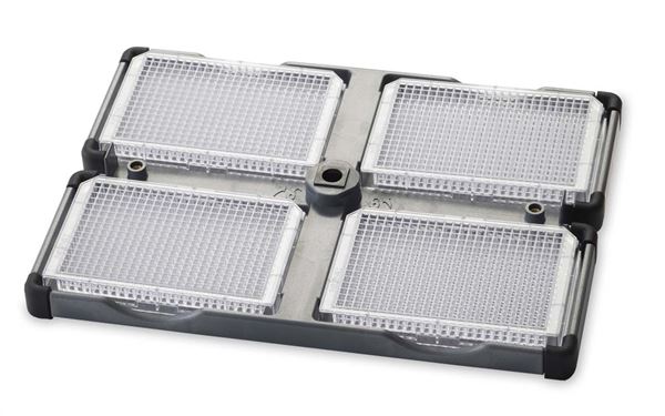 �y�|�C���g5�{�z�y�����i�z �I�[�n�E�X (OHAUS) �{���e�b�N�X�~�L�T�[�p�A�N�Z�T�� �N�A�b�h�z���_�[ (30400214) �s�A�N�Z�T���t
