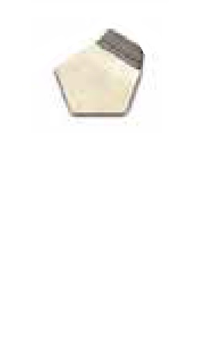 y|Cg10{zyiz I[nEX (OHAUS) M1 OIMLW 91400205 (JCSSZؖt)
