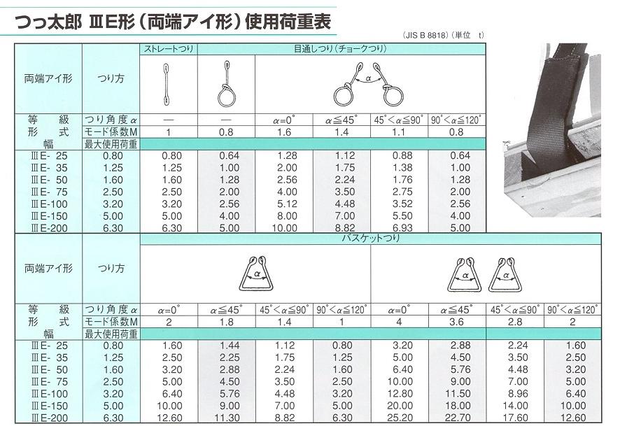 ベルトスリング つっ太郎(Gスリング) IIIE-75x8.5M (75x8.5) : other