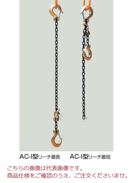 yiz ^R} ACI^ Lkݎ`F[XO AC-I-10 (1{݂)